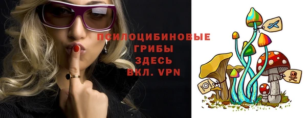 твердый Куйбышев