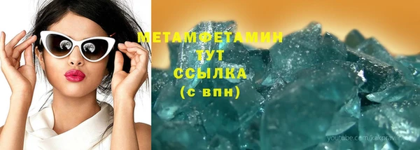 сатива Коряжма