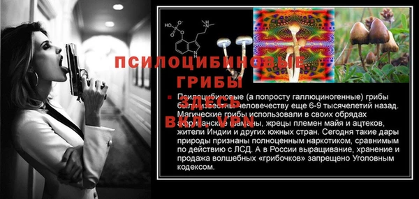 спайс Кукмор