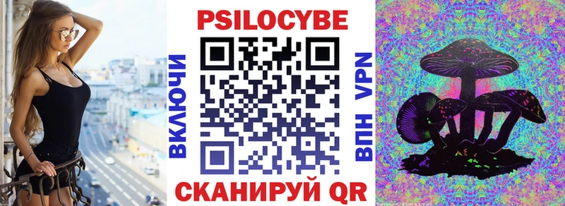 как найти наркотики  Спас-Клепики  Галлюциногенные грибы Psilocybe 